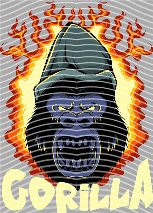 Street design-JT 4866